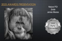 2025-EOY-Awards_018