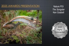 2025-EOY-Awards_019