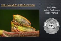 2025-EOY-Awards_020