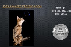 2025-EOY-Awards_032