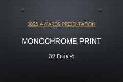 2025-EOY-Awards_072