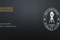 2025-EOY-Awards_073