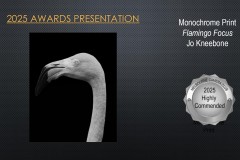 2025-EOY-Awards_076
