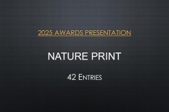 2025-EOY-Awards_079