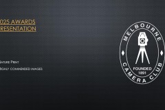 2025-EOY-Awards_080