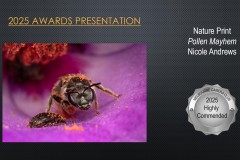 2025-EOY-Awards_081