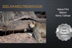 2025-EOY-Awards_084