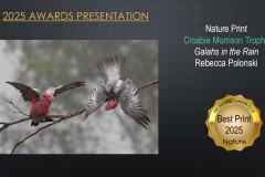 2025-EOY-Awards_086