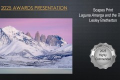 2025-EOY-Awards_109