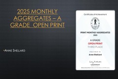 2025-EOY-Awards_145