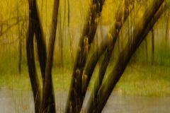 Kaye-Linsdell-Arrowtown-motion-PDI-InCamera-Artistry-Highly-Commended