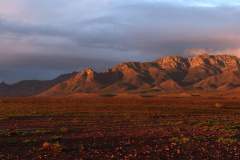 Richard-Lang-Sunset-Central-Ikara-Flinders-Ranges-National-Park-PDI-Scapes-Best