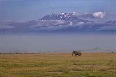 Robert-Fairweather-Mount-Kilamanjaro-PDI-Scapes-Highly-Commended