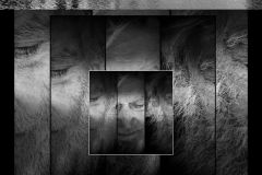 Robin-Tully-For-Some-Of-Us-Print-Creative-Best