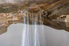 Sally-Paterson-Lakeside-Memories-Rose-Print-Creative-Highly-Commended