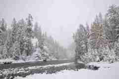 Simon-Springate-Canadian-winter-PDI-Nature-Best