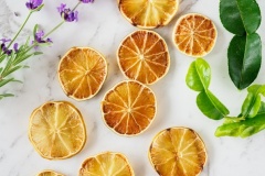 Lemons-Lime-Sally-Paterson-Highly-Commended-Set-Subject-A-Grade-PDI-Feb-2025