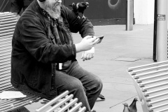 Yes-that-is-you-Mr-Pigeon-Jo-Kneebone-Commended-Open-B-Grade-PDI-Feb-2025
