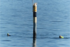 Swimmers-and-hazard-marker-Tim-Hunt-Highly-Commended-Set-Subject-B-Grade-PDI-Jul-2025