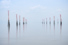 Fishing-Net-Poles-Lesley-Bretherton-Commended-Set-Subject-A-Grade-Print-Jul-2025