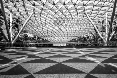 Structured-Chaos-Jo-Kneebone-Commended-Set-Subject-B-Grade-Print-Jul-2025