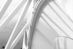 Valencia-Agora-Vitas-Anderson-Highly-Commended-Open-A-Grade-Print-Jul-2025