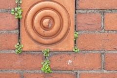 Green-Wall-Simon-Springate-Commended-Open-A-Grade-PDI-Jun-2025