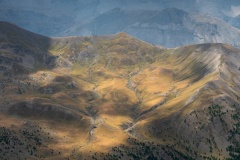 Mountain-living-Daryl-Groves-Commended-Open-A-Grade-PDI-Jun-2025