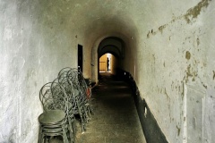 The-Tunnel-James-Mexias-Commended-Open-A-Grade-PDI-Mar-2025