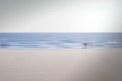 Misty-Morning-James-Mexias-Commended-Set-Subject-A-Grade-Print-Mar-2025