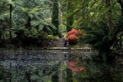 Among-the-Giants-Jo-Kneebone-Commended-Set-Subject-B-Grade-PDI-May-2025