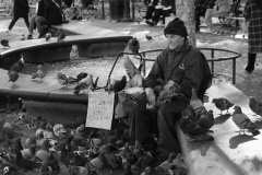 Feeding-pigeons-in-the-park-Vitas-Anderson-Commended-Open-A-Grade-PDI-May-2025