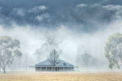 Homestead-Mist-Maarten-Grabandt-Commended-Open-B-Grade-PDI-May-2025