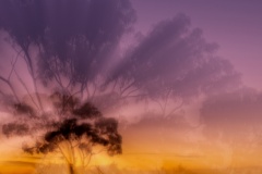 Untitled-Tim-Hunt-Commended-Set-Subject-B-Grade-PDI-May-2025