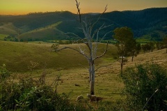 Sunset-Lee-Anne-Thomson-Highly-Commended-Set-Subject-A-Grade-Print-May-2025