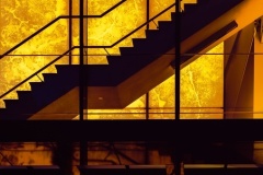 Dantes-Inferno-Pramita-Banerjee-Best-Set-Subject-B-Grade-PDI-Oct-2025