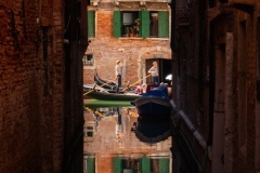 Serene-Daryl-Groves-Commended-Open-A-Grade-PDI-Oct-2025