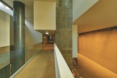 The-Cove-Sydney-Stephen-Nagle-Best-Set-Subject-B-Grade-Print-Oct-2025