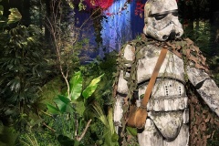 Stormtrooper-forest-Matthew-Leane-Commended-Open-B-Grade-Print-Sep-2025