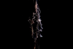 Drifting-Jo-Kneebone-Highly-Commended-Open-A-Grade-PDI-Apr-2026