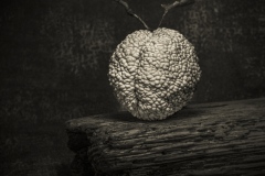 Osage-Arange-Russell-Spence-Best-Open-A-Grade-Print-Apr-2026