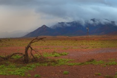 Between-showers-Central-Flinders-Ranges-Richard-Lang-Commended-Set-Subject-A-Grade-PDI-Feb-2026