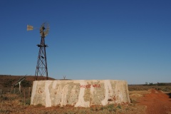 Horse-well-Lee-Anne-Thomson-Commended-Open-A-Grade-PDI-Feb-2026