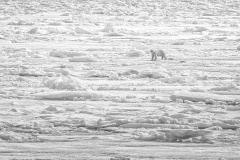 My-icy-home-Ken-Gosbell-Highly-Commended-Open-A-Grade-PDI-Feb-2026