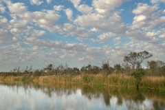 Waterhole-Tim-Hunt-Best-Set-Subject-B-Grade-PDI-Feb-2026