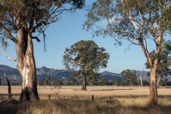 Blue Skies - Sally Paterson (Commended - Set Subject A Grade Print - Feb 2026)