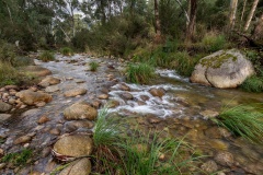 Heading Up The Creek - Anne Shellard (Commended - Set Subject A Grade Print - Feb 2026)