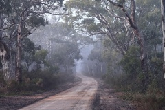 Misty Lane - Rebecca Polonski (Highly Commended - Set Subject A Grade Print - Feb 2026)