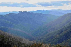 TOWARDS THE MOUNTAINS - Gail Morgan (Best - Open B Grade Print - Feb 2026)