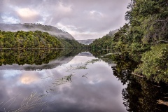 Tarkine - Ken Bretherton (Highly Commended - Open A Grade Print - Feb 2026)
